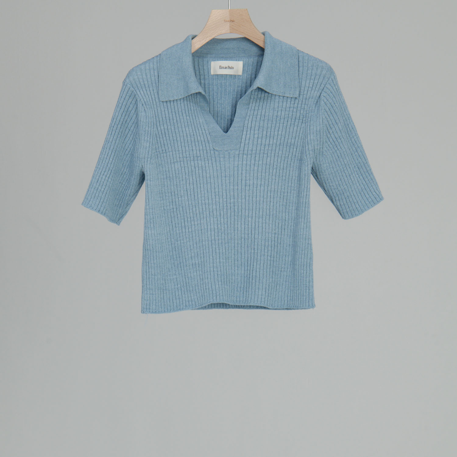 アーニーパロと私