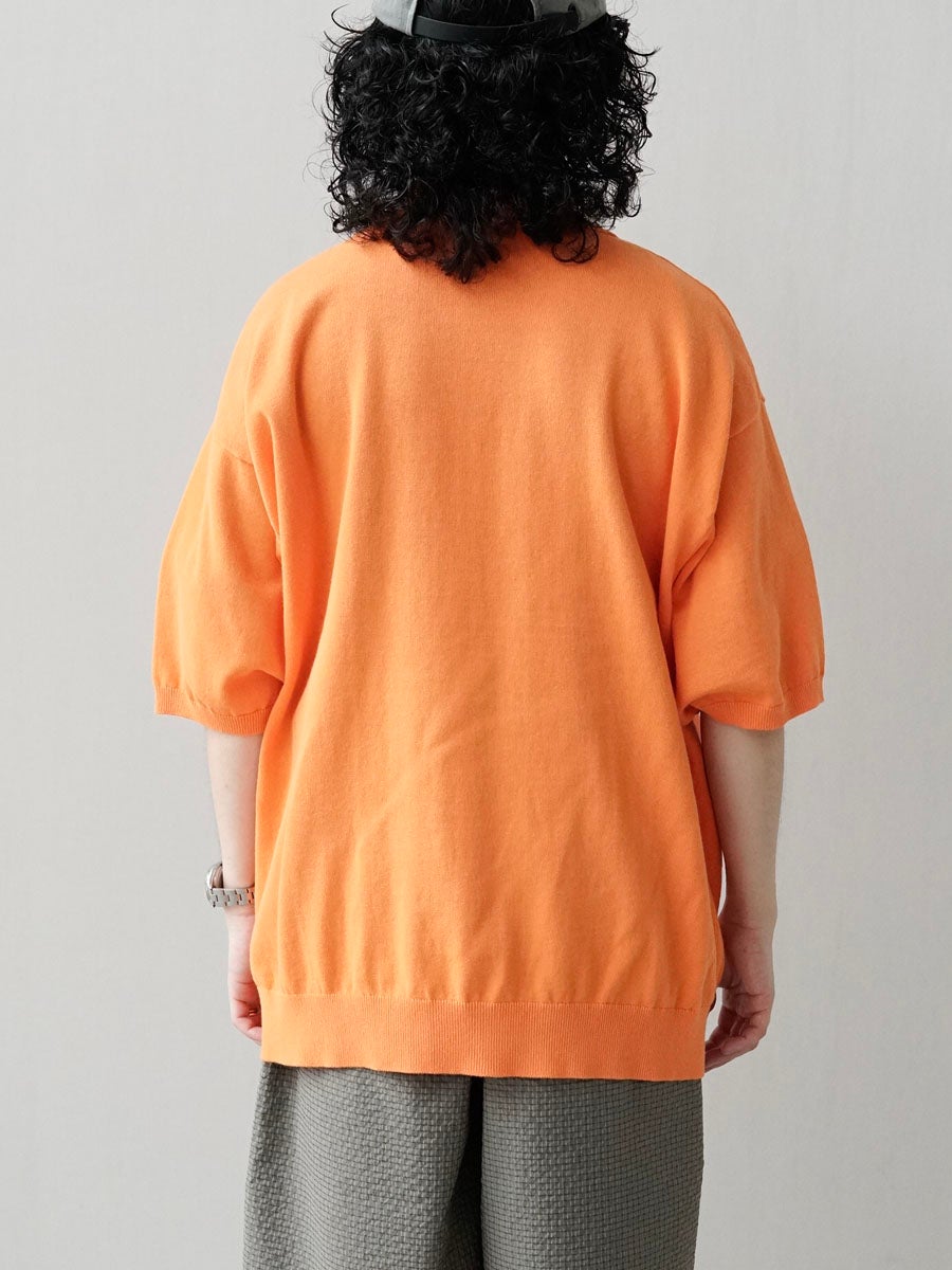 Pedestal Japan polo 長袖 M JAPAN POLO SHIRT | pedestal